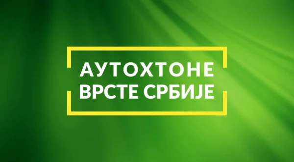 Autohtone vrste Srbije