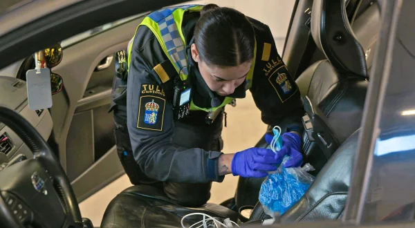 Švedska granična kontrola