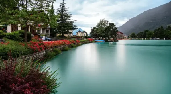 Schweiz pur