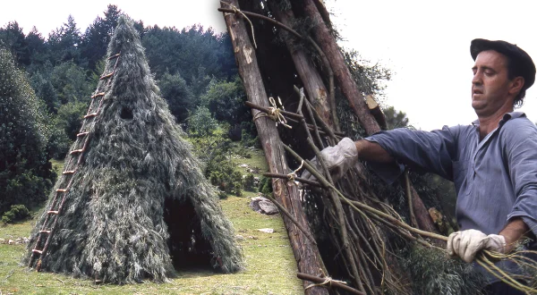 Chozo de pastores trashumantes en la naturaleza. Así era su construcción tradicional