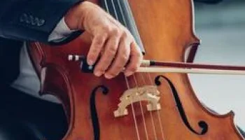 Clips Calédonie