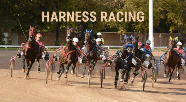 Harness Racing