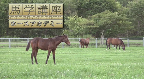 新・馬学講座ホースアカデミー