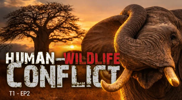 Human & Wildlife Conflict - Cuando la naturaleza se desborda