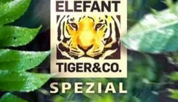 Elefant, Tiger & Co.