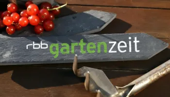 Gartenzeit