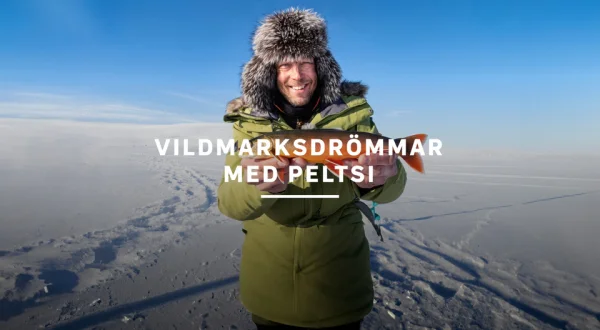 Vildmarksdrömmar med Peltsi