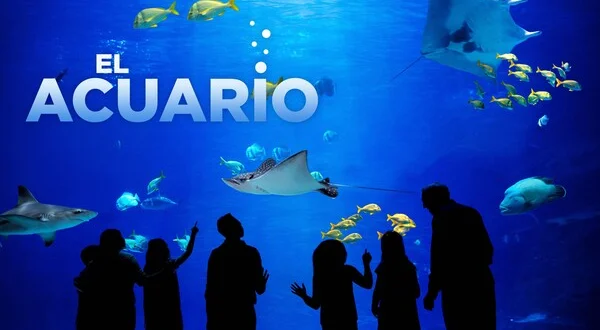 El acuario