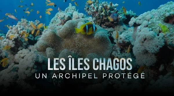 Les îles Chagos, un archipel protégé