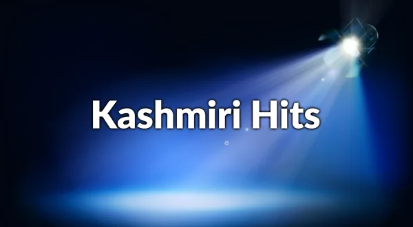 Kashmiri Hits
