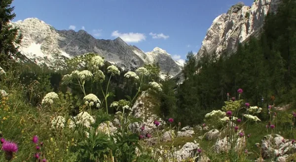 Nature Parks