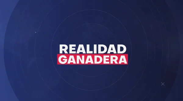 Vivo Realidad ganadera