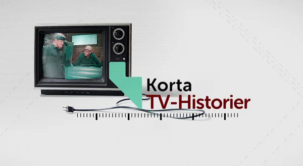 Korta tv-historier