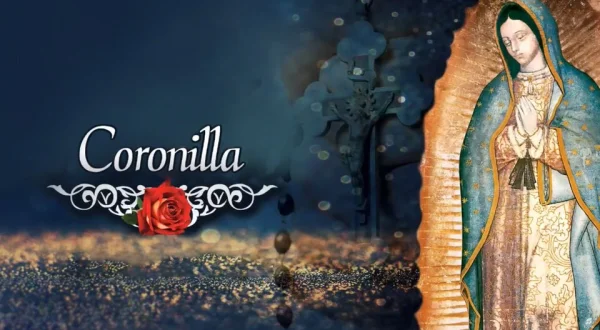 Coronilla
