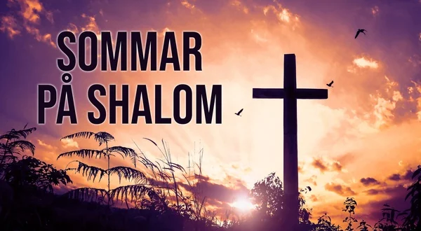 Sommar På Shalom