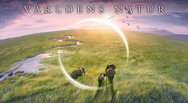 Världens natur