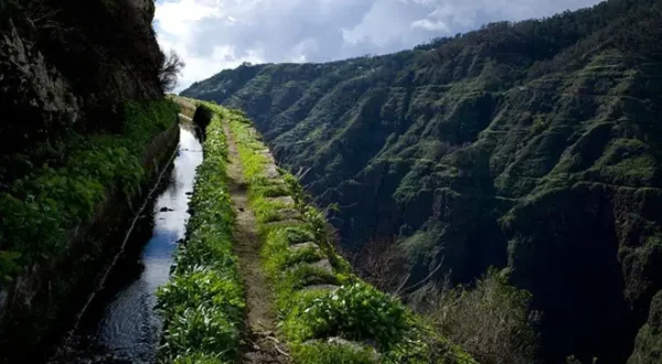 Madeira - Blumen, Lava und Levadas