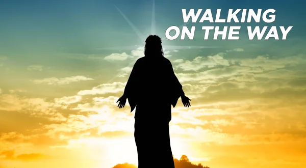 Walking On The Way