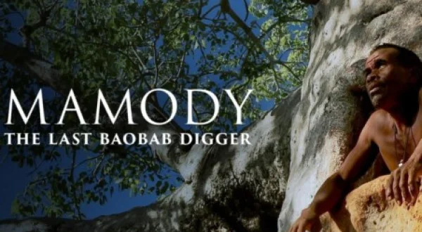 Mamody, o Cavador de Baobás