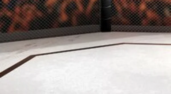 Live: The Ultimate Fighting Championship