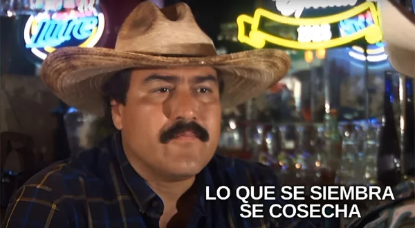 Lo que se siembra se cosecha
