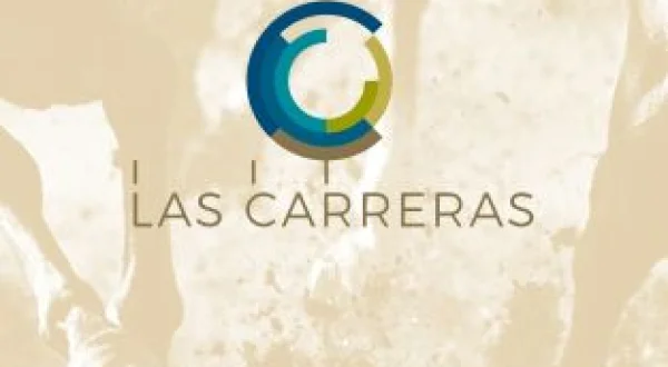 Carreras de Caballos- Turf