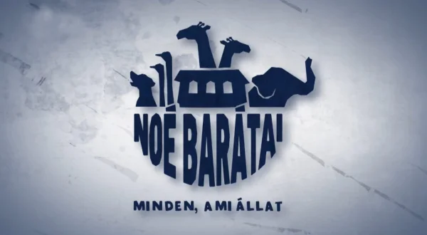 Noé és barátai