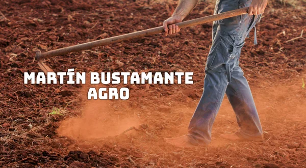 Martín Bustamante agro