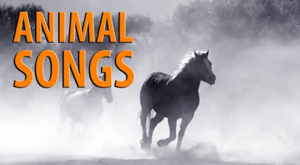 Animal Songs