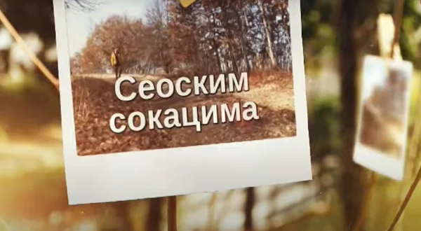 Seoskim sokacima