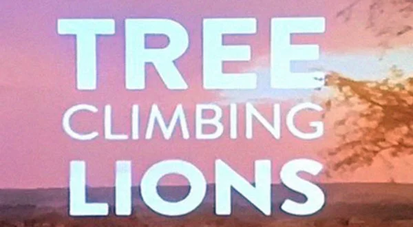 Los leones trepadores