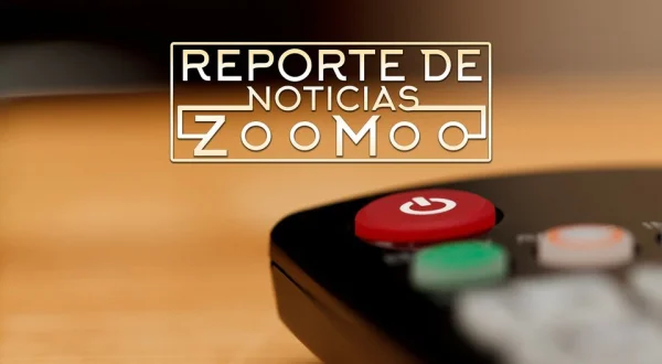 Reporte de Noticias ZooMoo