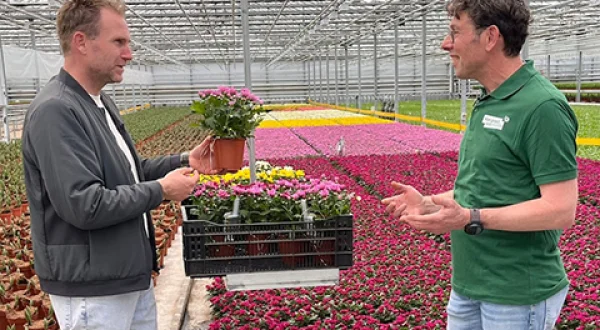 Varend Corso Weekjournaal