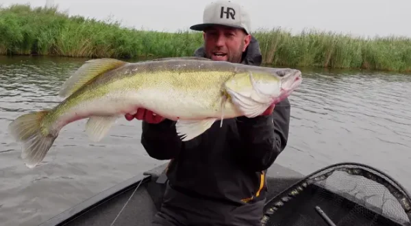 Planlos auf Bigfish in Holland