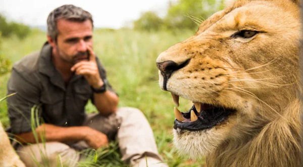 Η Επιστήμη των Αιλουροειδών | The Science of Big Cats