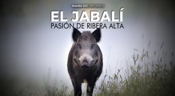El jabalí: pasion de ribera alta