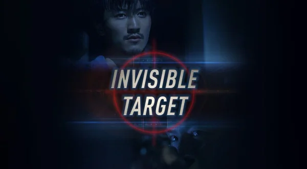 Invisible Target