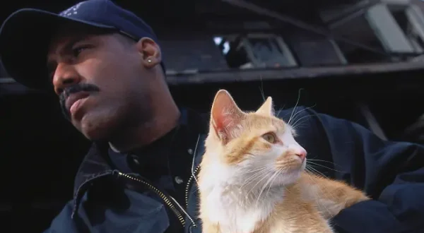 Animal Cops