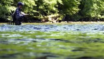 Pêche à la mouche, une odyssée pyrénéenne