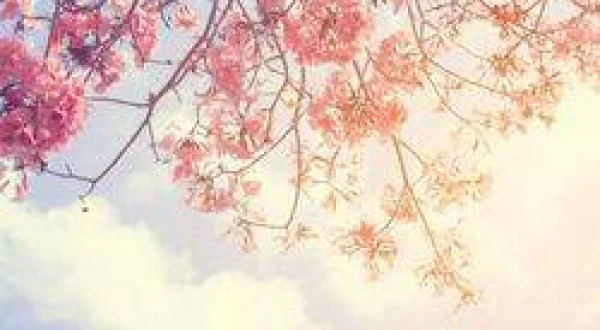 İlahiler