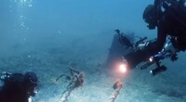 Shipwrecks: When History Resurfaces