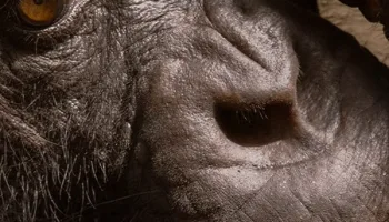 Terra - Un pianeta in evoluzione