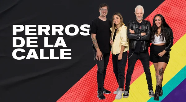Perros de la calle