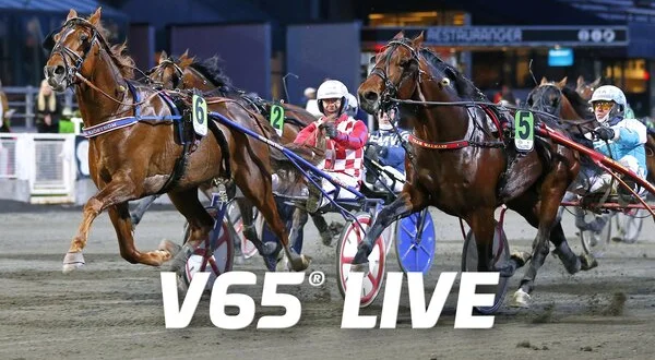V65 Live