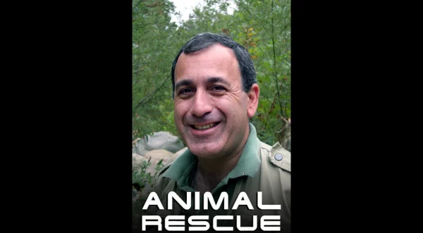 Animal Rescue