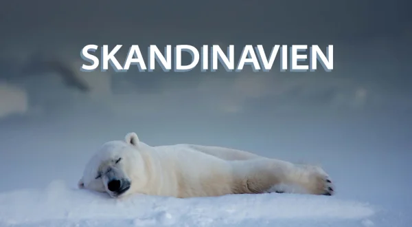 Skandinavien