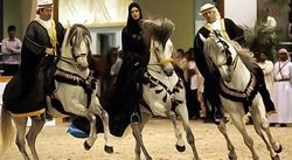 Sharjah Arabian Horse Festival
