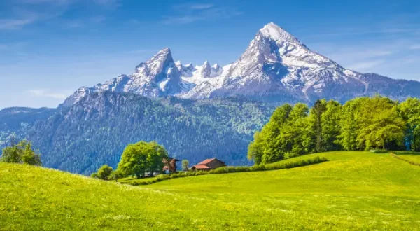 Destino verde