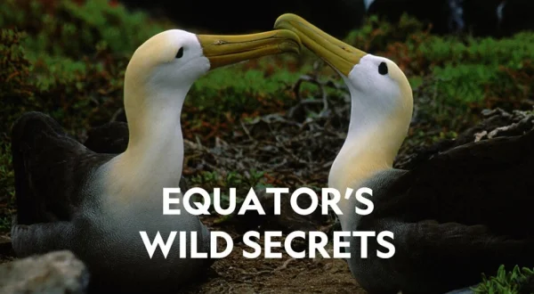 Equator's Wild Secrets