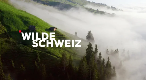 Unsere wilde Schweiz